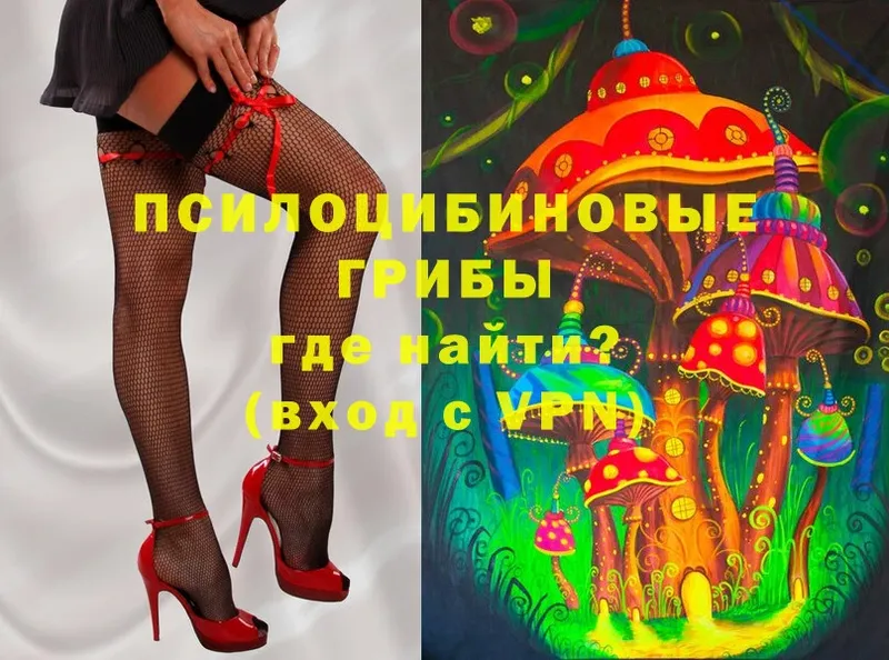 Псилоцибиновые грибы Psilocybe  Тарко-Сале 